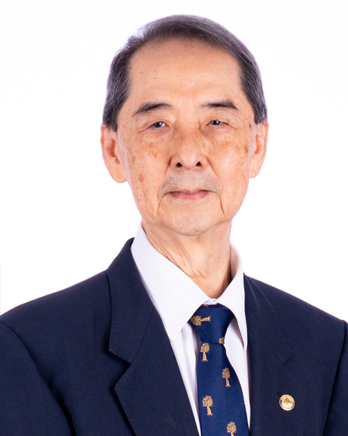 Photo of Prof Lee Eng Hin