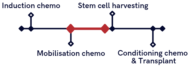 Multiple Myeloma