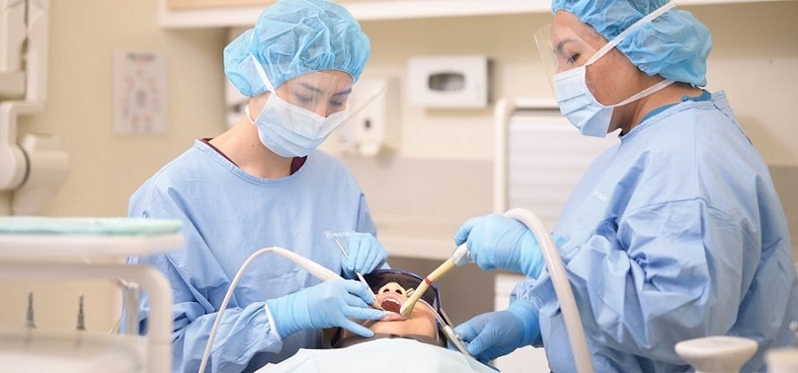 Oral Health Therapist