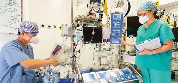 Perfusionist