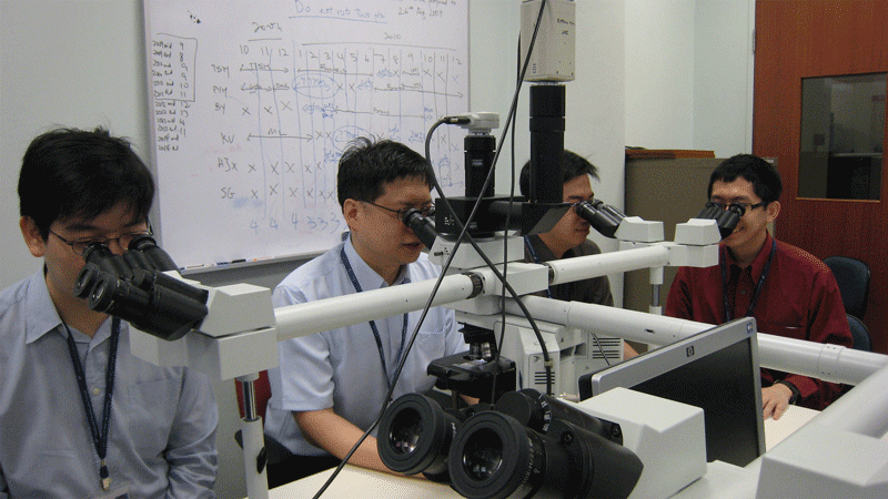 NUHS Pathology Residency Programme