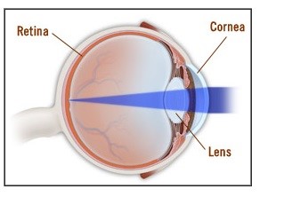Eyeball