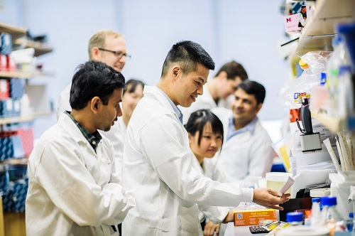Clinician researchers