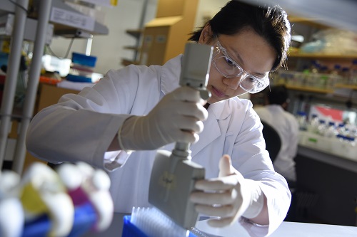 Clinician Scientists