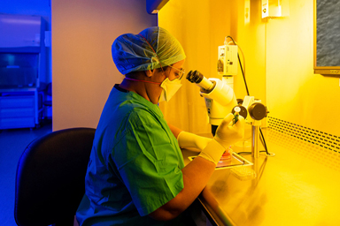 Embryologist