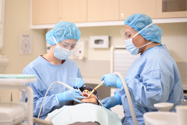 Oral Health Therapist