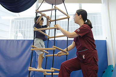 Occupational Therapist