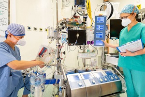 Perfusionist