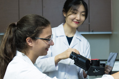 Confocal Microscopy Unit