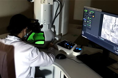 Electron Microscopy Unit