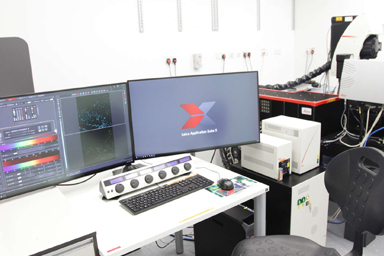 Multiphoton Microscopy