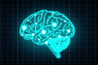 Neurocognitive Core