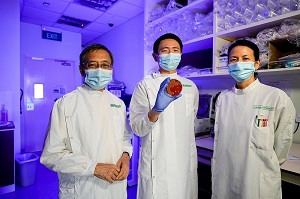 Discovery of new bacteria Staphylococcus singaporensis